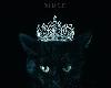 Aimer - Best Selection “noir”(初回生産限定盤A)(6.4GB＠FLAC＠KF@分軌)(1P)