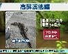 [屏東驚見「2米鱷」3小時誘捕！ 週邊還5隻脫逃者？][奇摩新聞][113.9.24](9P)