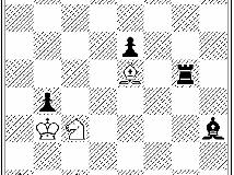 What is a Chess Problem? (by Peter Wong)(15P)
